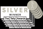 Silver Telly Award